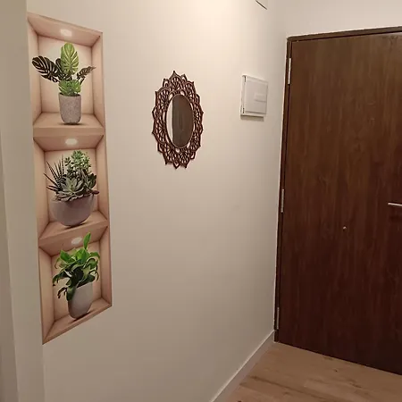 Apartment Cristina Ole *